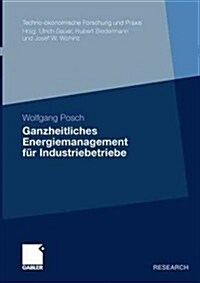 Ganzheitliches Energiemanagement F? Industriebetriebe (Paperback, 2011)