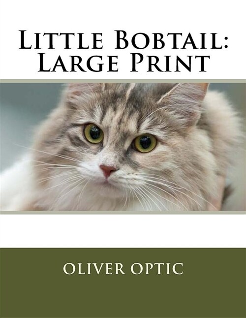 Little Bobtail: Large Print (Paperback)