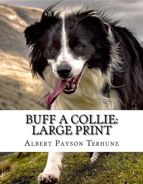 Buff a Collie: Large Print (Paperback)