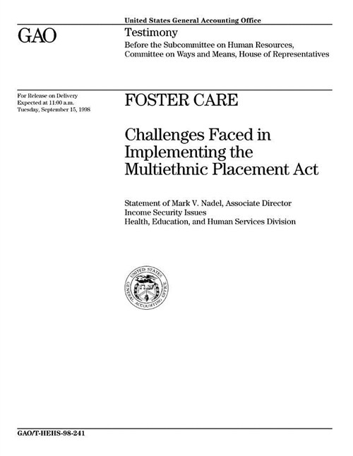Foster Care: Challenges Faced in Implementing the Multiethnic Placement ACT (Paperback)