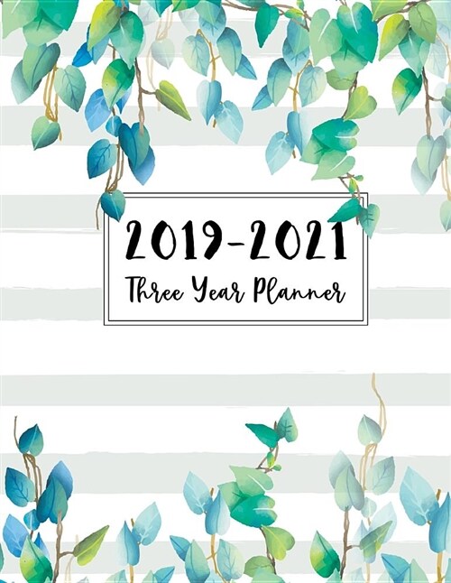 2019-2021 Three Year Planner: 3 Year Daily Planner Calendar Schedule Organizer Planner Journal Agenda Appointment Planner for the Next Three Years, (Paperback)