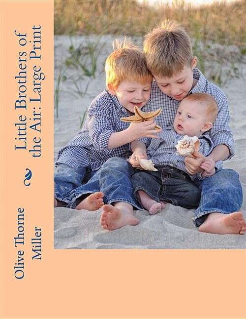 Little Brothers of the Air: Large Print (Paperback)