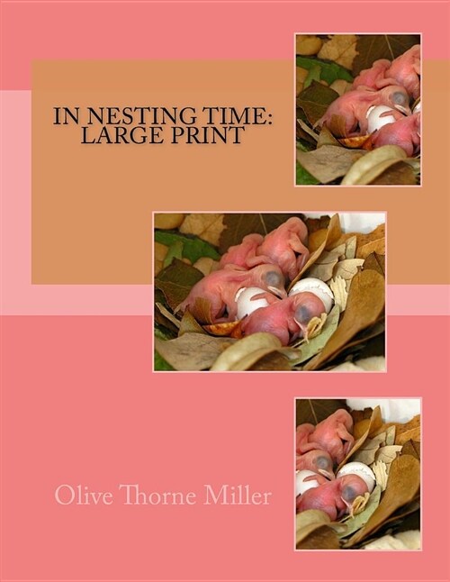 In Nesting Time: Large Print (Paperback)