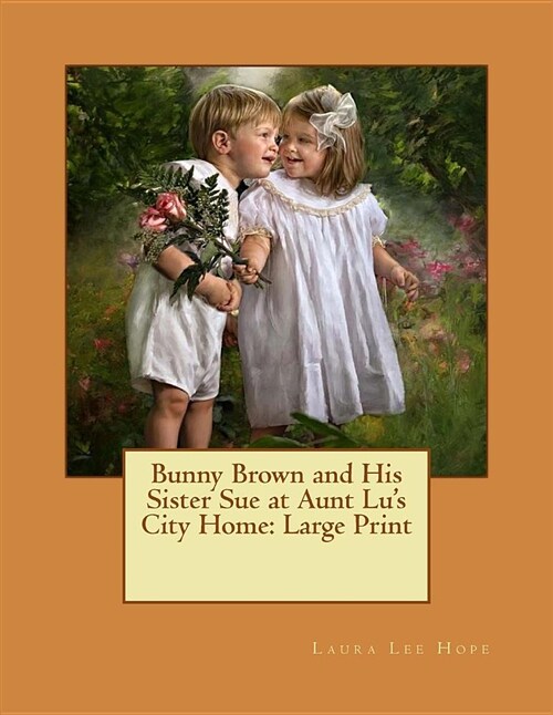 Bunny Brown and His Sister Sue at Aunt Lus City Home: Large Print (Paperback)