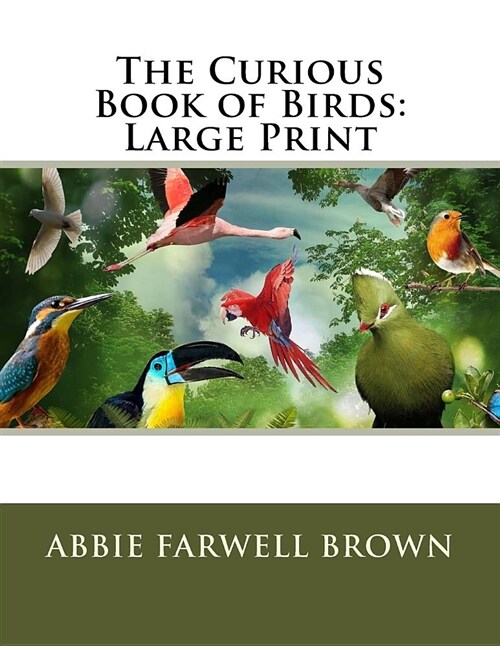 The Curious Book of Birds: Large Print (Paperback)