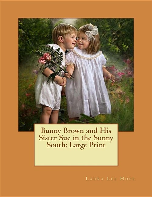 Bunny Brown and His Sister Sue in the Sunny South: Large Print (Paperback)