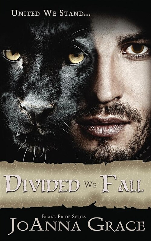 Divided We Fall (Paperback)