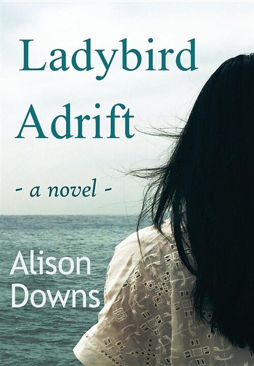 Ladybird Adrift (Hardcover)