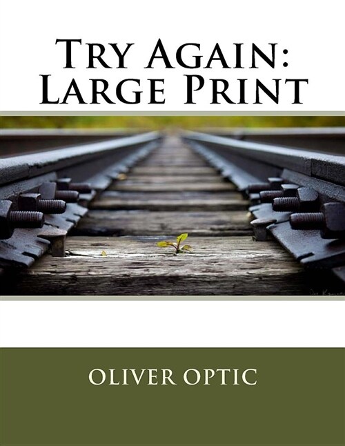 Try Again: Large Print (Paperback)