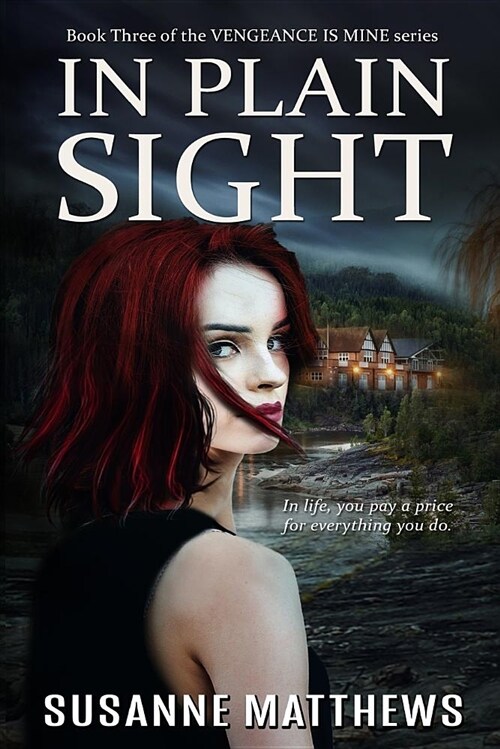 In Plain Sight (Paperback)