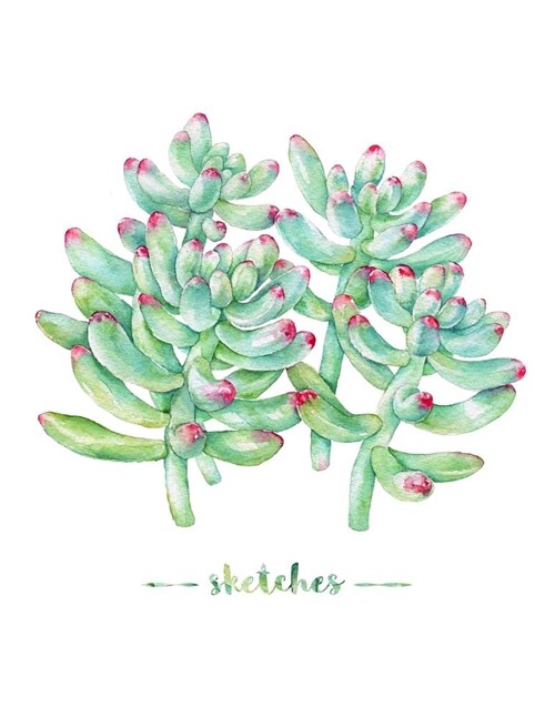 Sketches: Personalized Artist Sketchbook with Colorful Watercolor Green Succulent Design, 100 Blank Pages, 8.5 X 11 in (21.59 X (Paperback)