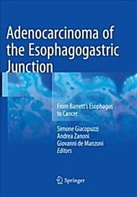 Adenocarcinoma of the Esophagogastric Junction: From Barretts Esophagus to Cancer (Paperback, Softcover Repri)