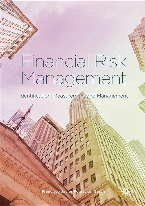 Financial Risk Management: Identification, Measurement and Management (Paperback, Softcover Repri)