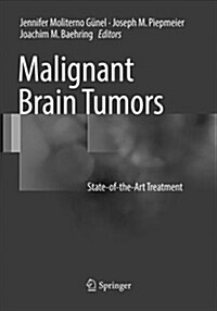 Malignant Brain Tumors: State-Of-The-Art Treatment (Paperback, Softcover Repri)