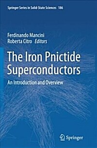 The Iron Pnictide Superconductors: An Introduction and Overview (Paperback, Softcover Repri)
