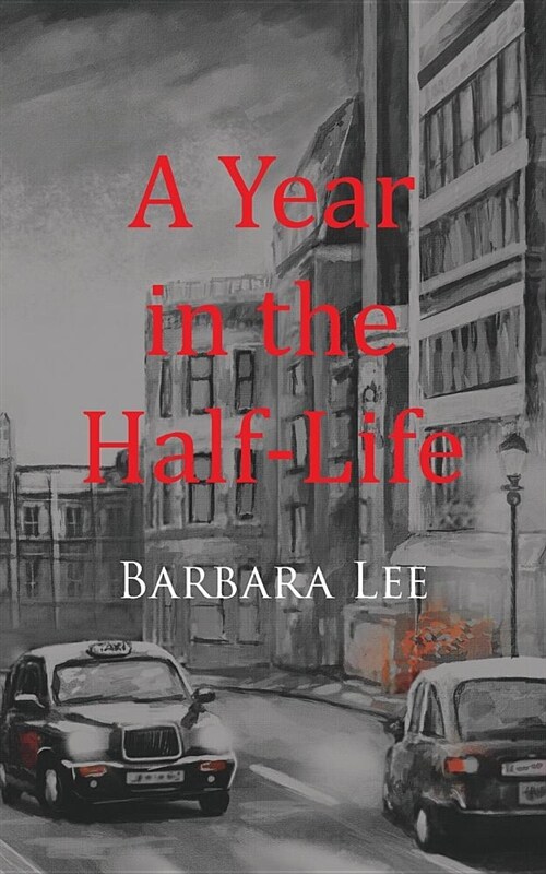 A Year in the Half-Life (Paperback)