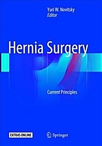 Hernia Surgery: Current Principles (Paperback, Softcover Repri)