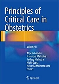 Principles of Critical Care in Obstetrics: Volume 2 (Paperback, Softcover Repri)