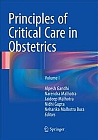 Principles of Critical Care in Obstetrics: Volume 1 (Paperback, Softcover Repri)