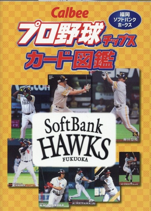 Calbeeプロ野球チップスカ (A6)