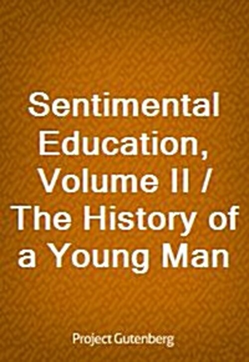 Sentimental Education, Volume II / The History of a Young Man