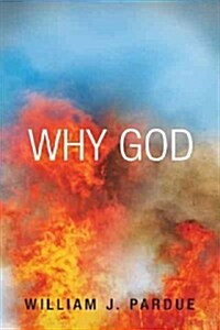 Why God (Paperback)