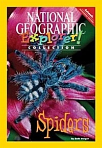 Spiders (Paperback)