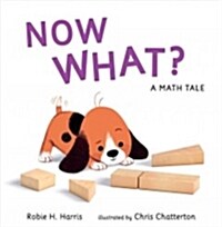 Now What? a Math Tale (Hardcover)