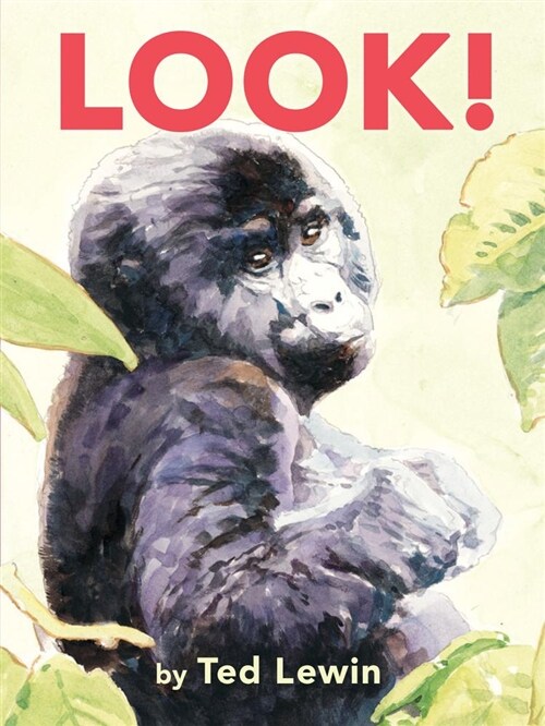 Look! (Board Books)