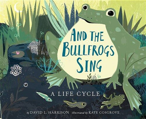 And the Bullfrogs Sing: A Life Cycle Begins (Hardcover)