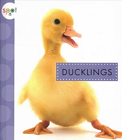 Ducklings (Library Binding)