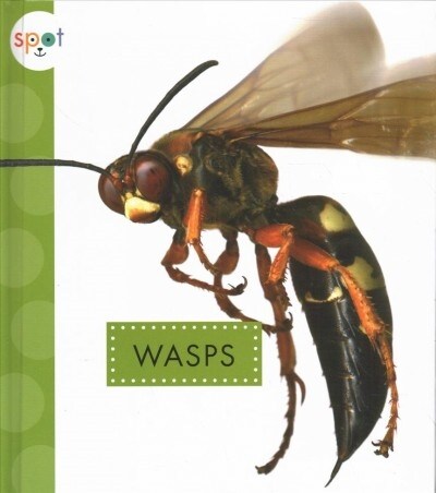 Wasps (Library Binding)