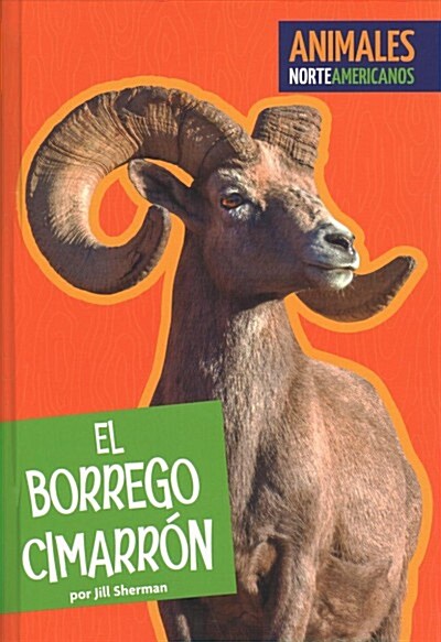 El borrego cimarr?/ Bighorn Sheep (Library)