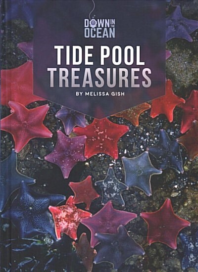 Tide Pool Treasures (Library Binding)