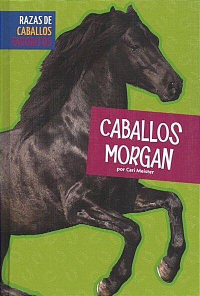 Caballos Morgan (Library Binding)