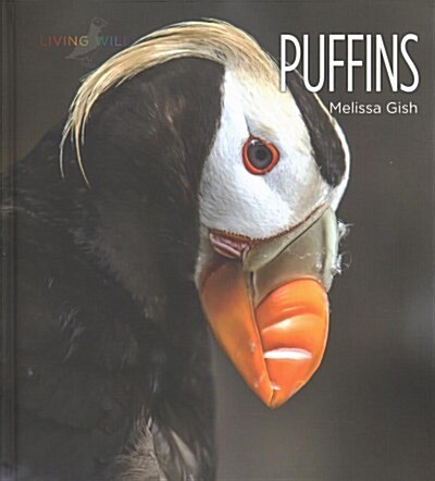 Puffins (Library Binding)