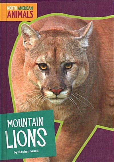 Mountain Lions (Library Binding)