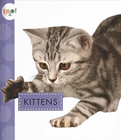 Kittens (Library Binding)