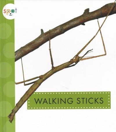 Walking Sticks (Library Binding)