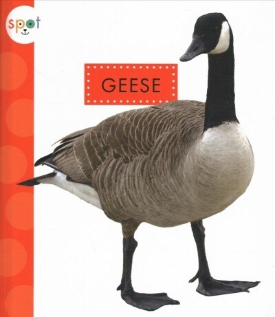 Geese (Library Binding)