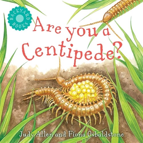 Are You a Centipede? (Paperback)