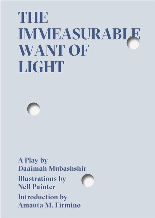 The Immeasurable Want of Light (Paperback)