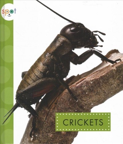 Crickets (Library Binding)