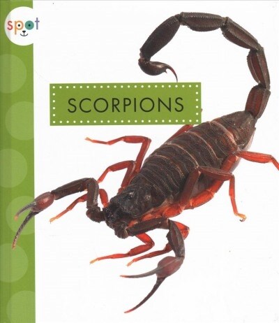 Scorpions (Library Binding)