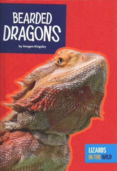 Bearded Dragons (Library Binding)