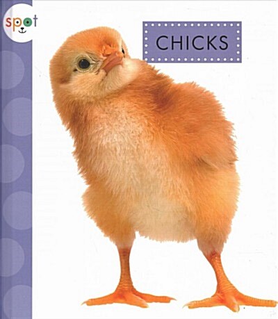 Chicks (Library Binding)