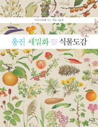 웅진 세밀화 식물도감 =우리나라에 사는 식물 320종 /Woongjin illustrated guide to plants 