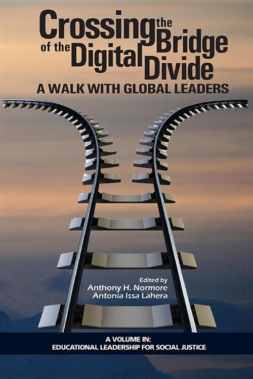 Crossing the Bridge of the Digital Divide: A Walk with Global Leaders (Paperback)