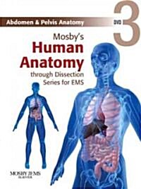 Abdomen & Pelvis Anatomy (DVD, 1st)