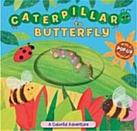 Caterpillar to Butterfly (Board Book)